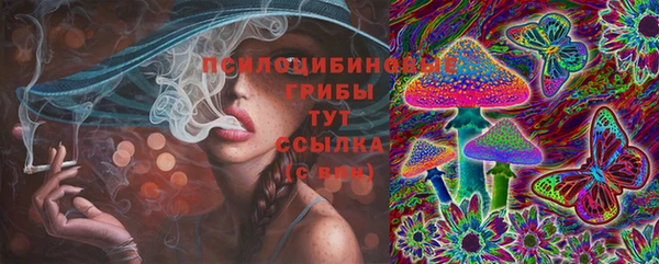 герыч Алзамай