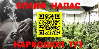 PSILOCYBIN Донской