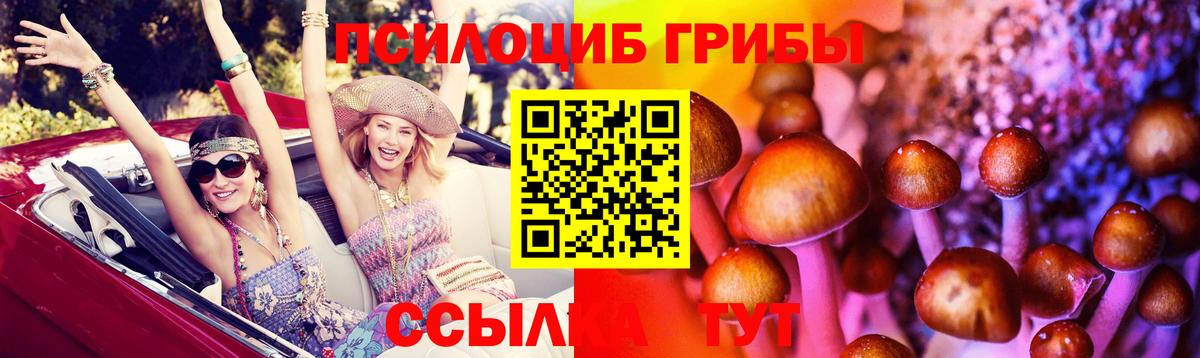 Псилоцибиновые грибы MAGIC MUSHROOMS Тверь