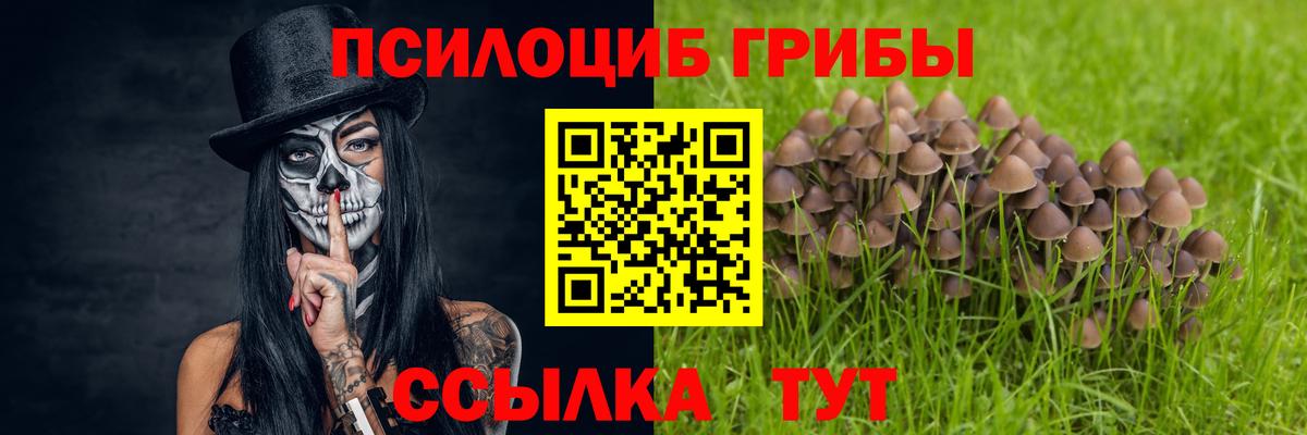 Тверь  Галлюциногенные грибы Psilocybe  закладка  Вход с VPN 